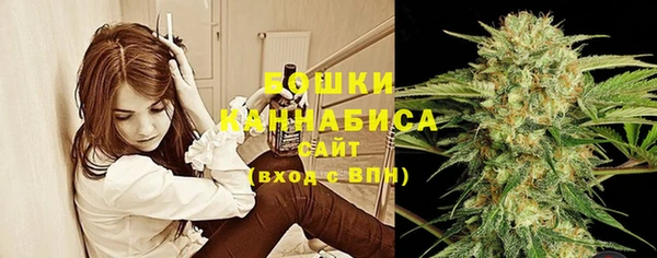 СК Кинешма