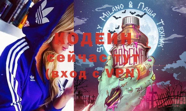мдпв Киреевск