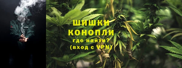 мдпв Киреевск
